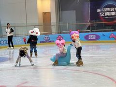 -冰纷万象滑冰场(二七万象城店)