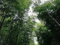 -天目湖御水温泉·度假酒店