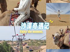 -银肯塔拉沙漠生态旅游景区