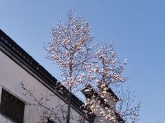 -惠山古镇·寄畅园