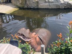 -南京金牛湖风景区