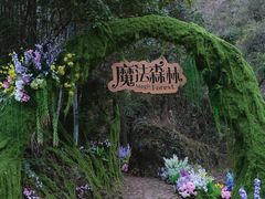 -龙湾潭国家森林公园