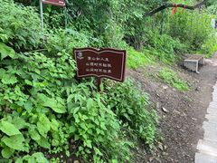 -终南山南五台景区