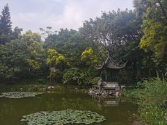 -深圳国际园林花卉博览园