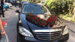 -蚂蚁婚车