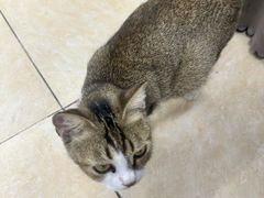 -双月饭店·20年老字号(新村店)