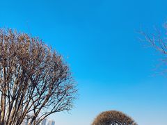 -长白岛森林公园