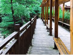 -青峰峡国家森林公园