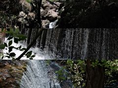 -大奇山国家森林公园