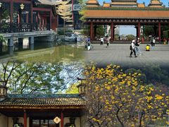 -顺峰山公园