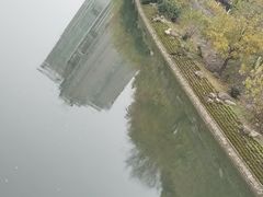 -羊山湖公园
