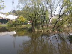 -西湖风景区-江洋畈生态公园