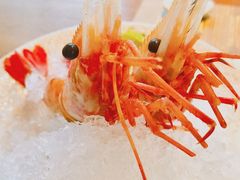 鳌虾-酒井酱子·深夜食堂(东城汇店)