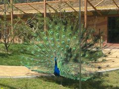 -辛玛王国游乐园