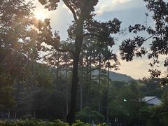 -广州市白云山风景名胜区