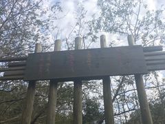 -东海大峡谷