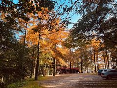-莫干山风景区