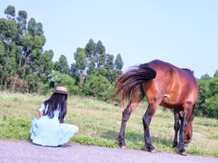 -厦门国家会计学院
