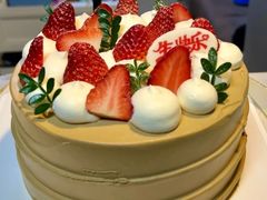 -维尔纳斯·生日蛋糕·动物奶油冰淇淋蛋糕(六里桥店)
