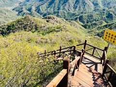-大岭沟猕猴桃谷风景区