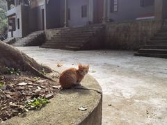 -飞霞风景名胜区