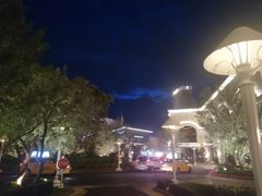 -拉斯维加斯永利酒店