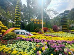 -南山植物园
