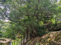 -乌山风景区
