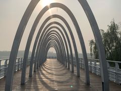 -大兴滨河森林公园