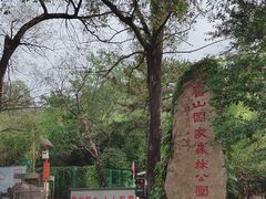 -鲁山国家森林公园