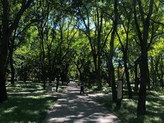 -玲珑塔公园