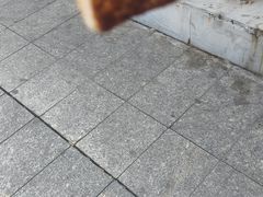 -渔乡米坊(虎门店)