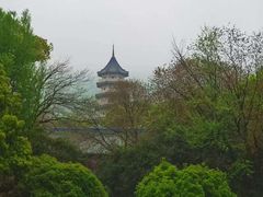 -灵谷景区