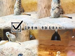 -正佳雨林生态植物园