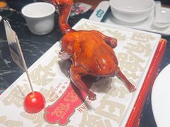 -大鸽饭(北京路店)