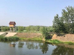 -东郊湿地公园