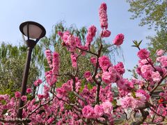 -元大都城垣遗址公园