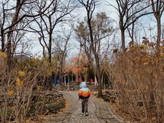 -阳台山自然风景区