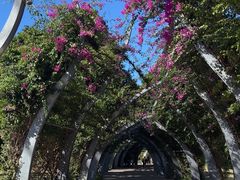 -布里斯班南岸公园