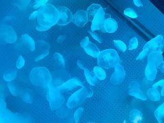 -厦门海底世界