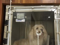 -美联众合动物医院·24h转诊中心