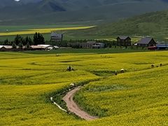 -扁都口生态休闲旅游区