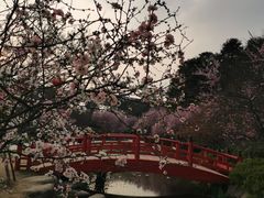 -秀丽东方