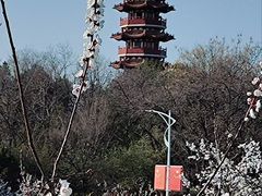 -云龙湖旅游景区