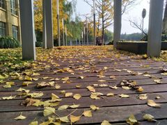 -紫玉轩精菜馆(东川路店)