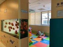 -杭州贝瑞斯美华妇儿医院·早孕·产检·儿科