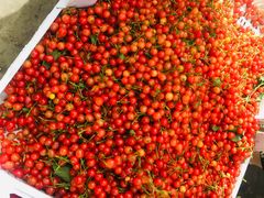 -鑫朱雀农贸批发市场