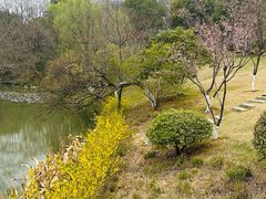 -羊山湖公园