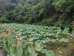 -广州莲花山旅游区