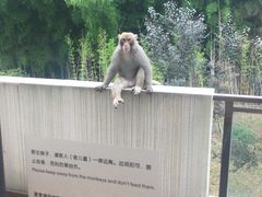 -苏州环秀晓筑养生度假村